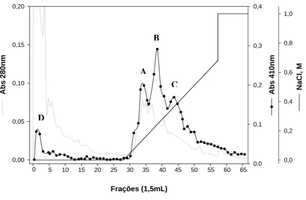 Figura 5 - Cromatografia de troca iônica. Cromatografia de troca iônica em coluna Mono Q da amostra  FI, observando-se três picos principais com atividade amidásica (A, B, C)