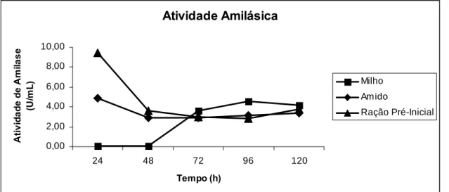 Figura 2. Atividade de amilase dos meios constituídos de milho, amido e ração pré-inicial
