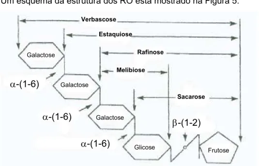 Figura 5: Estrutura dos oligossacarídeos de rafinose (RO). 