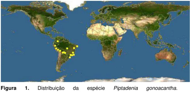 Figura  1.  Distribuição  da  espécie  Piptadenia  gonoacantha .  (http://www.discoverlife.org/mp/20m?kind=Piptadenia+gonoacantha) 