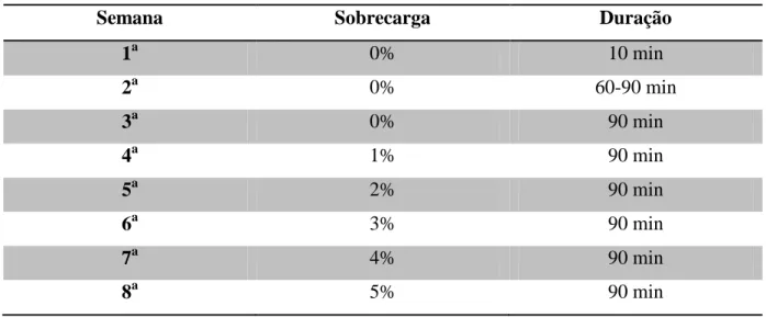 Tabela 1. Protocolo de treinamento físico  