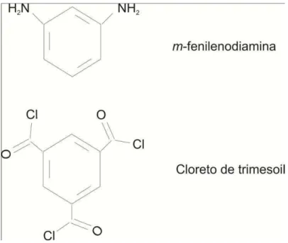 Figura 1 Os compostos m-fenilenodiamina e cloreto de trimesoil são os compostos mais comumente utilizados na  formação de poliamidas pela polimerização interfacial, dando origem a polímeros aromáticos