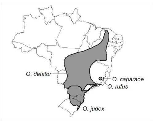 Figura 3. Mapa de distribuição de Oxymycterus rufus de acordo com a IUCN (Iucnredlist,  2014a)