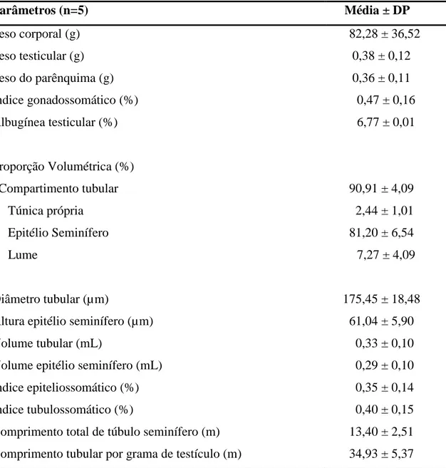 Tabela 1. Biometria e morfometria testicular de Oxymycterus rufus 