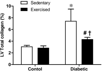 Figure  1.  Exercise  prevented  the  accumulation  of  myocardial  collagen.  Left  ventricular  total  collagen  content  expressed  as  mean  ±  SD  in  all  four  experimental  groups