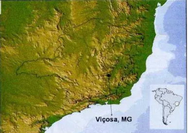 Figura 5. Localização do Município de Viçosa - MG  (20º44’S, 42º51’W). 