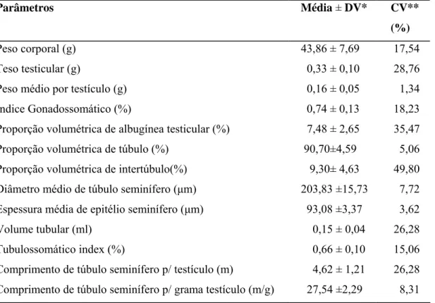 Tabela 1- Parâmetros morfométricos e volumétricos testiculares e índices somático de  Akodon cursor