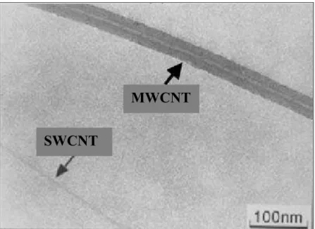 Figura 1 – Imagens de microscopia eletrônica mostrando nanotubos de carbono:  SWCNT e MWCNT [2]