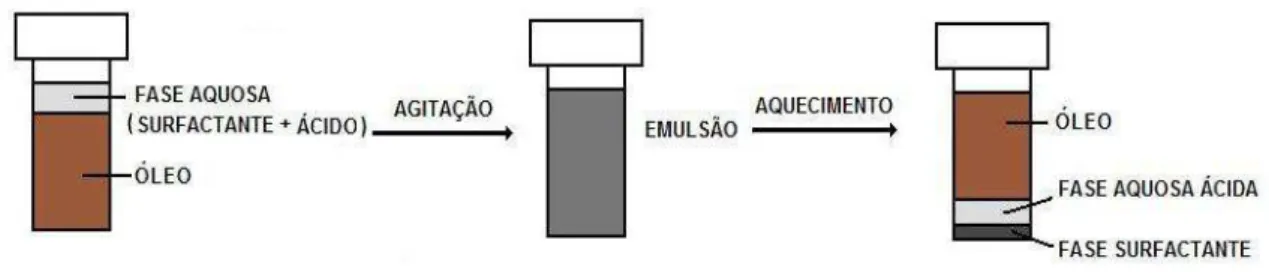 Figura 1. Esquema do procedimento proposto para extração/pré-concentração  e posterior determinação de metais em líquidos orgânicos