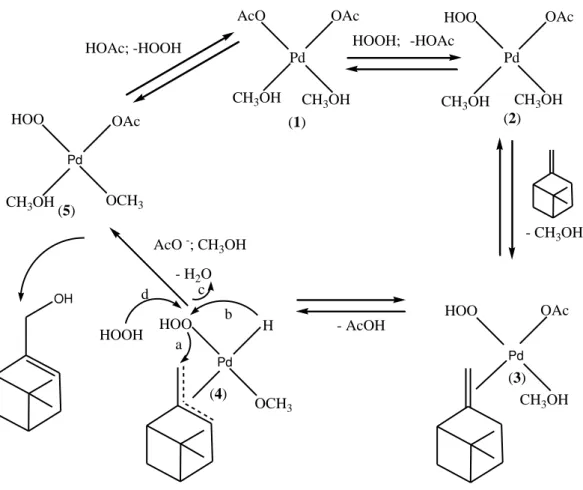 Figura 15: Mecanismo proposto para a formação do mirtenol (1b). 