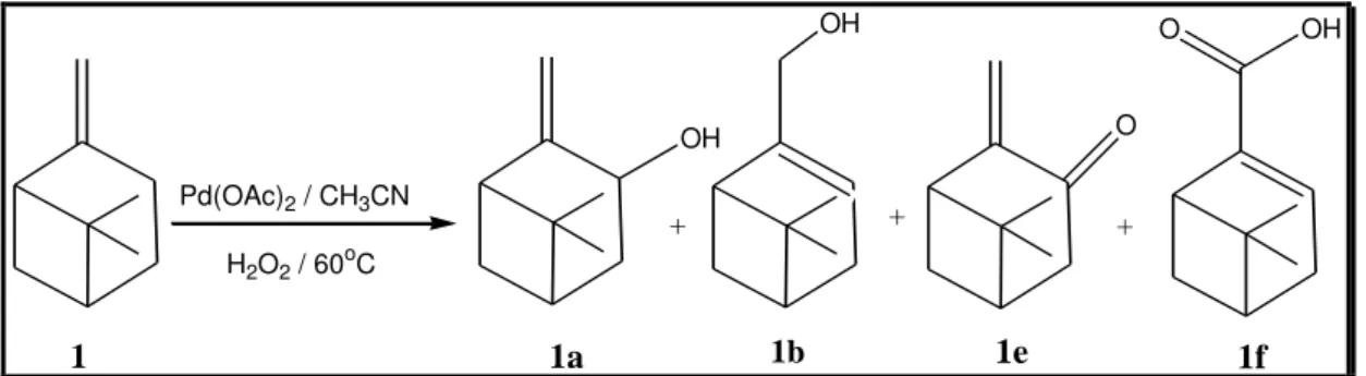 Figura  18:  Produtos  da  oxidação  do  β–pineno  por  H 2 O 2   em  reações 