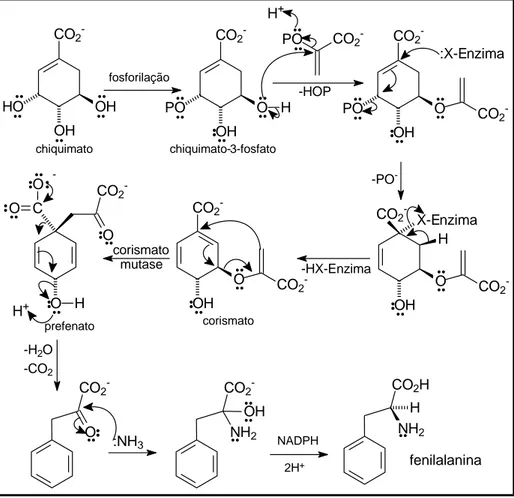 Figura 1.7 – Biossíntese da fenilalanina. Adaptado de Lobo e Lourenço (2007) 