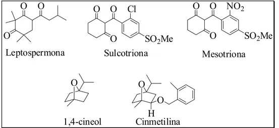 Figura 1.12 – Exemplos de herbicidas comerciais (sulcotriona, mesotriona e 