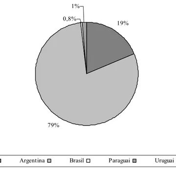 Figura 6 – Participação relativa dos países do MERCOSUL nos fluxos de IDE recebidos  pelo bloco em 2004