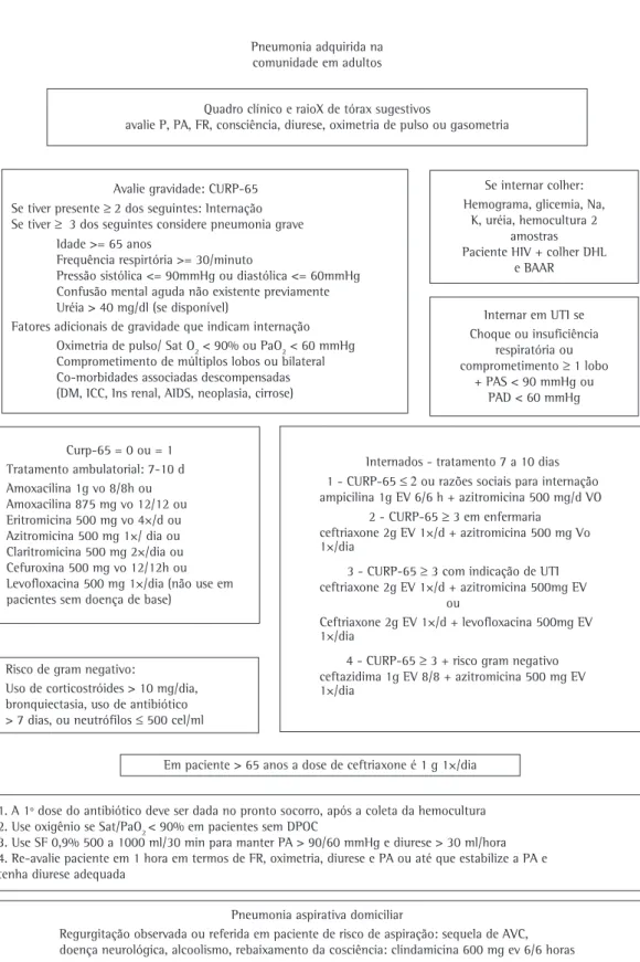 Figure 1 - Poster displayed in the emergency room and in the wards depicting the guidelines for the approach  to the hypothesis of community-acquired pneumonia.