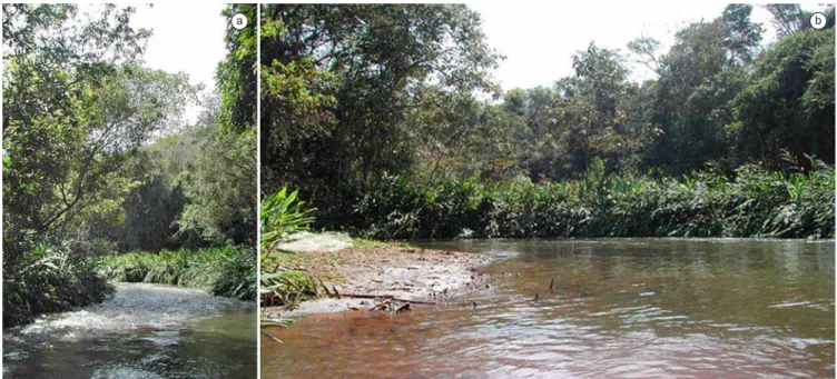 Figura 4. Trecho médio do rio Quilombo (Q2), cerca de 3 km a jusante da UHE Capão Preto