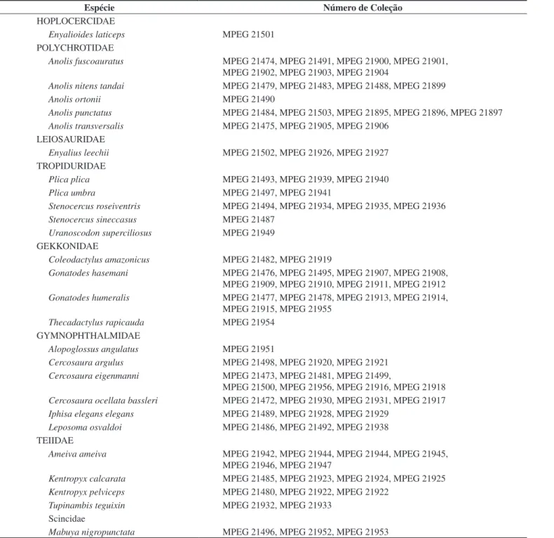 Tabela 1. Relação do material testemunho coletado na Fazenda Jaburi em Espigão do Oeste, Rondônia, Brasil, depositado na coleção Herpetológica do Museu  Paraense Emílio Goeldi (MPEG) em Belém do Pará, Brasil.