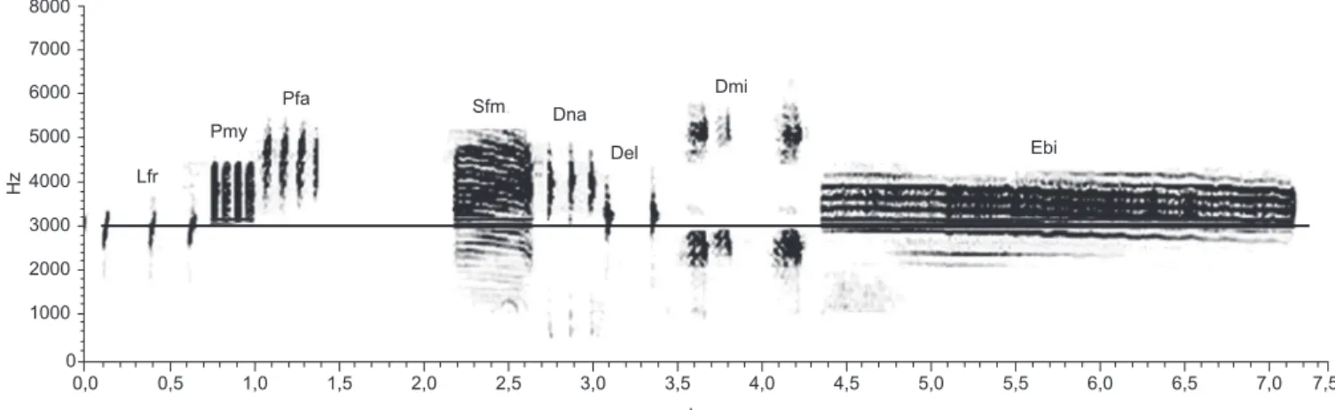 Figure 4. Notes structure (sonograms) of advertisement call of ten species recorded in the ponds sampled at Icém, São Paulo, that vocalize below 3 kHz