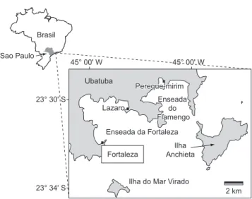 Figura 1. Localização da área de estudo, na Praia da Fortaleza (23° 32’ S e 