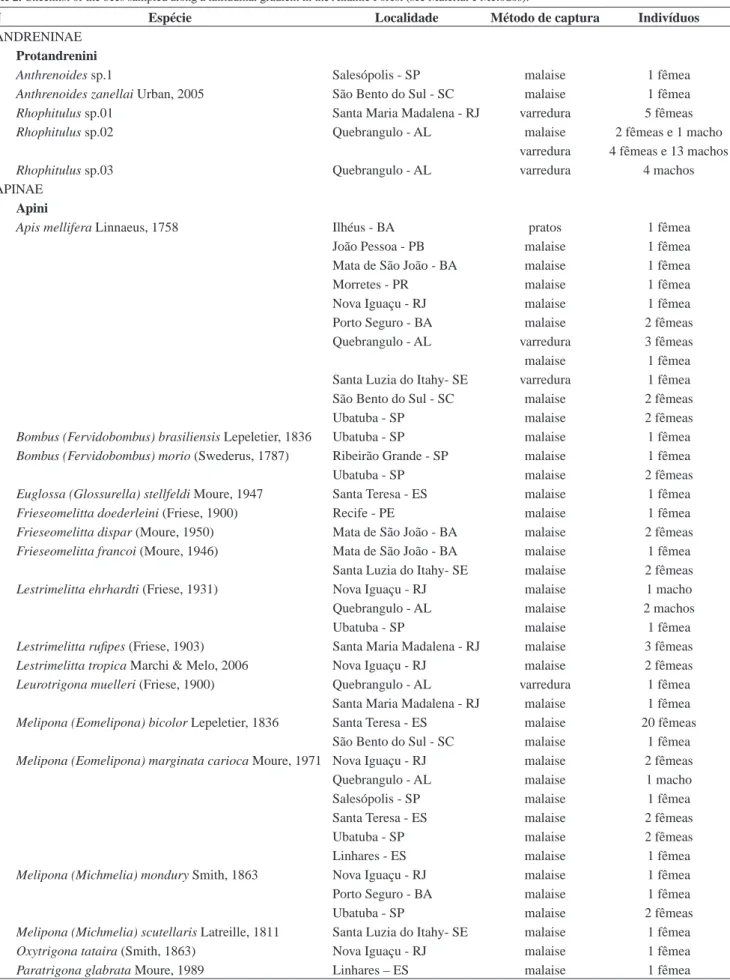 Tabela 2. Listagem das espécies de abelhas coletadas ao longo de um gradiente latitudinal na Mata Atlântica (ver Material e Métodos)