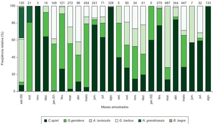 Figura 3. Freqüência relativa do número de exemplares de cada espécie de bagre marinho capturado ao longo de cada mês amostrado na região estuarina de  São Vicente, SP