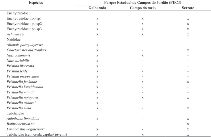 Tabela 1. Ocorrência das espécies de Oligoquetos aquáticos nos Córregos Galharada, Campo do Meio e Serrote pertencentes ao Parque Estadual de Campos 