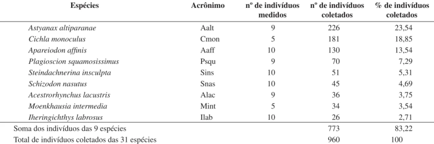 Tabela 1. Relação das espécies de maior abundância coletadas no reservatório Capivara, contendo o número de indivíduos e sua porcentagem em relação ao  total coletado no trecho Porecatu, no período de maio/2001 a maio/2002