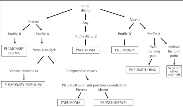 Figure 9 - Algorithm for the evaluation of acute respiratory failure based on lung ultrasound findings