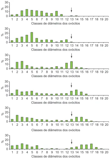 Figura 8. Freqüência porcentual das classes de diâmetro dos ovócitos em 