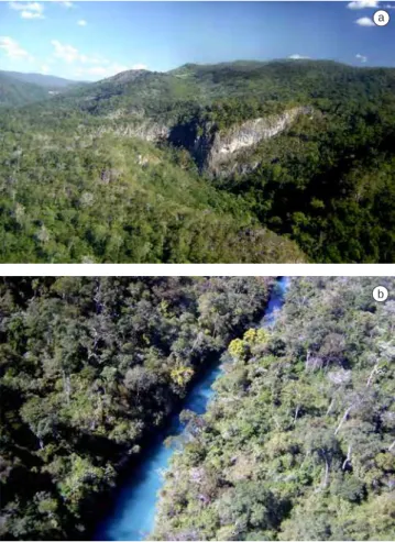 Figura 2. a) Vista panorâmica de parte do Parque Nacional da Serra da Bodo-