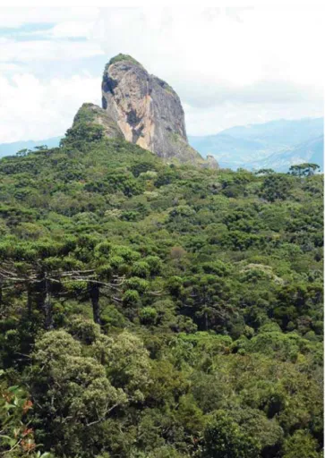 Figure 1. Pedra do Bauzinho and Pedra do Baú with remnant of Araucarian  forest on São Bento do Sapucaí-SP