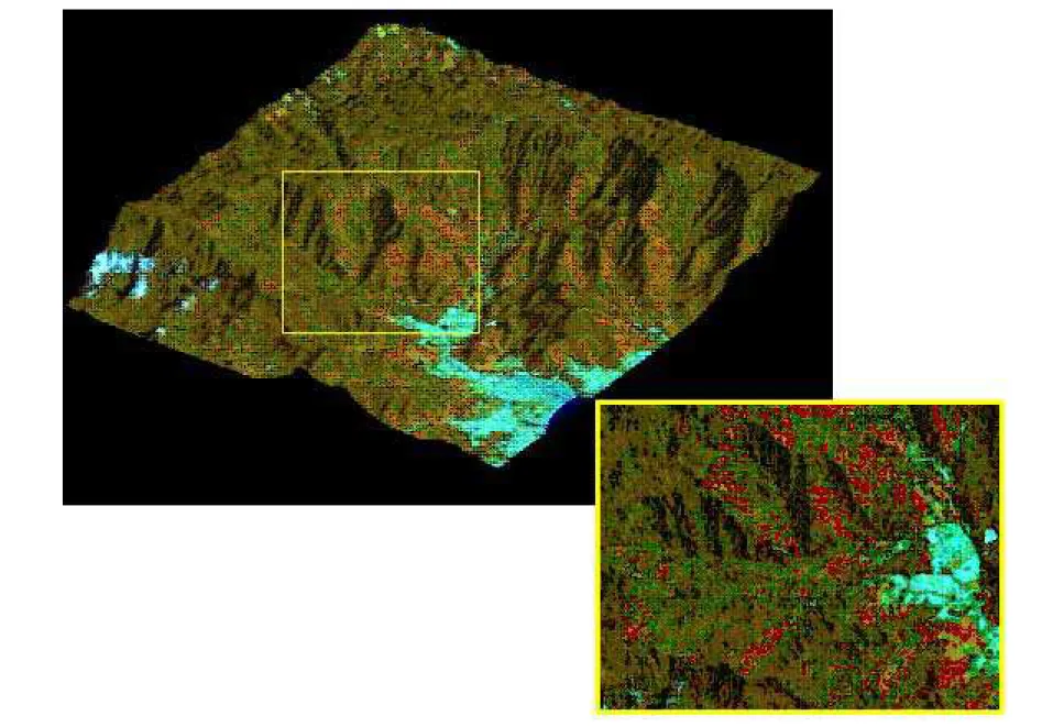 Figura 1: Visualização em 3D da bacia hidrográfica do Rio Grande de Ubatuba (acima) e a área de estudo com a localização dos pontos de coleta de dados (abaixo) Figure 1: Visualization in 3D of the Rio Grande watershed in Ubatuba (above) and the study area 