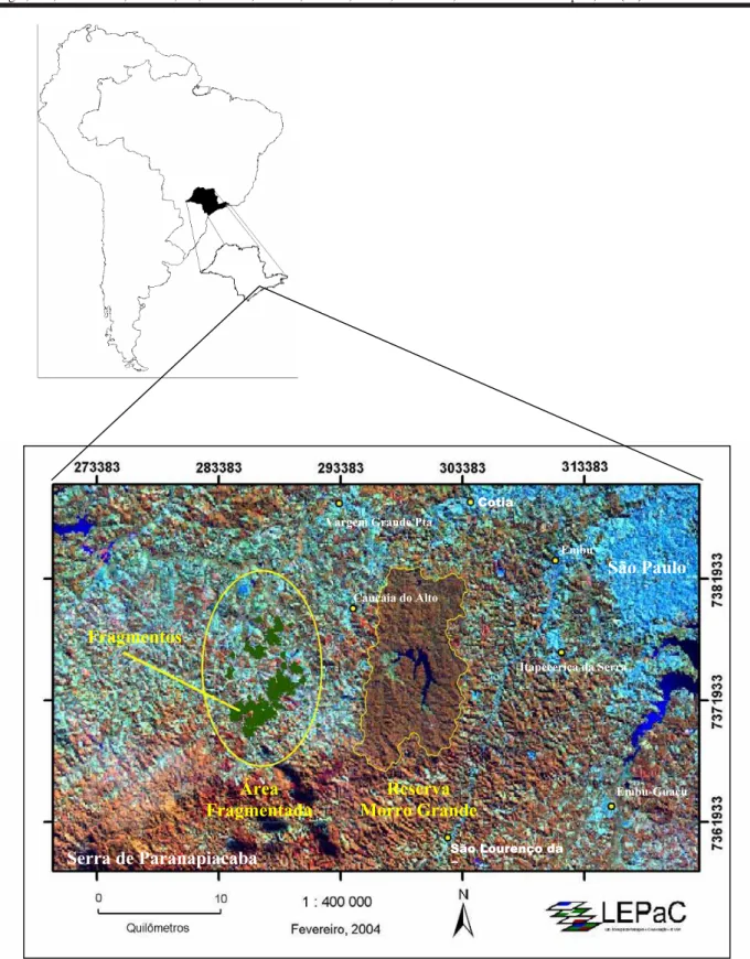 Figura 3. Imagem do satélite LANDSAT apresentando com a localização da Reserva Florestal do Morro Grande e da área fragmentada (a oeste da Reserva) onde foram feitos os estudos do Projeto Temático BIOTA-Caucaia (Fonte: Goulart 2004)