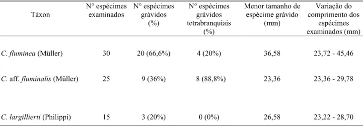 Tabela 1. Resultados do exame das demibrânquias de espécimes de três táxons de Corbicula amostrados no lago Guaíba, RS, entre junho/2003 e junho/2004.