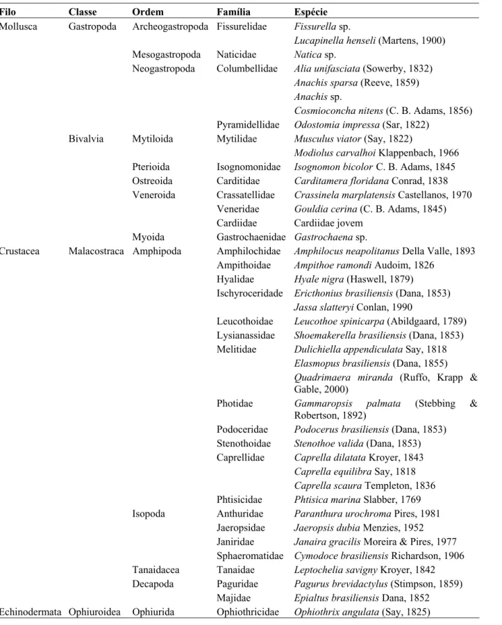 Table 1 - Mollusk, crustacean and echinoderm species list recorded in Sargassum  at Queimada Pequena Island