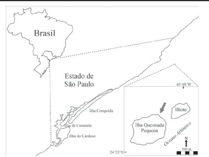 Figura 1 - Mapa da área de estudo e local de coleta das amostras de Sargassum (seta). Figure 1 - Map of the study area and Sargassum sampling site (arrow).