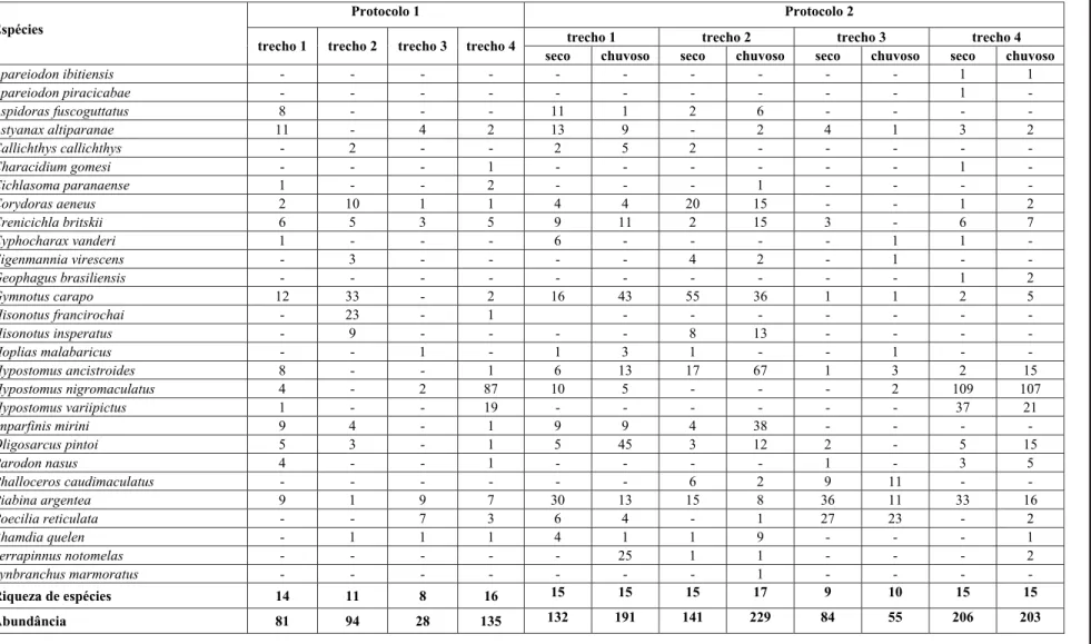 Tabela 3. Abundância das espécies de peixes do Córrego da Água Limpa, coletadas de acordo com os Protocolos 1 e 2 de amostragem (Protocolo 2 inclui amostragens em períodos seco e chuvoso).