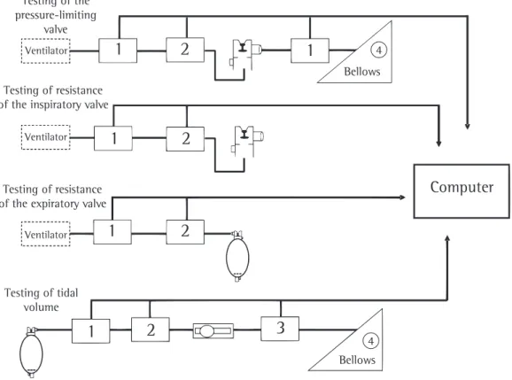 Figure 2 - Schematic representation of the experimental system.