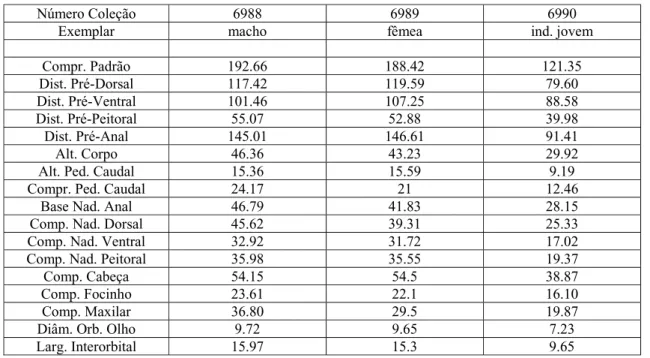 Tabela 1: Dados morfométricos (expressos em mm). Table 1: Morphometric data (express in mm).