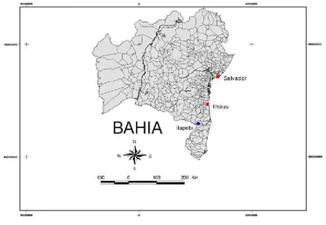 Figura 1: Mapa do Estado da Bahia assinalando a distribuição geográfica da Phoneutria bahiensis (Simó &amp; Brescovit 2001) nos municípios de Ilhéus e Salvador e novo registro na cidade de Itapebi.