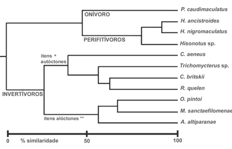 Figura 3. Dendrograma de similaridade sobre os valores de composição percentual da dieta de 11 espécies de peixes no Córrego São Carlos