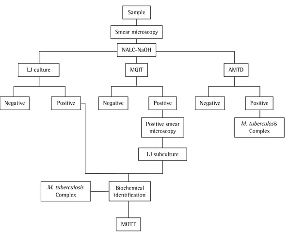 Figure 2 shows the study processing flowchart.