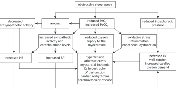 Figure 1. Pathophysiology of the effects of obstructive sleep apnea on the cardiovascular system