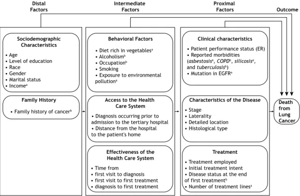 Figure 1. Hierarchical theoretical model of prognostic factors and death from lung cancer.