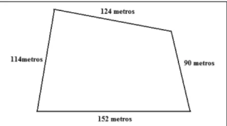 Figura 2 – Figura geométrica com formato quadrangular irregular