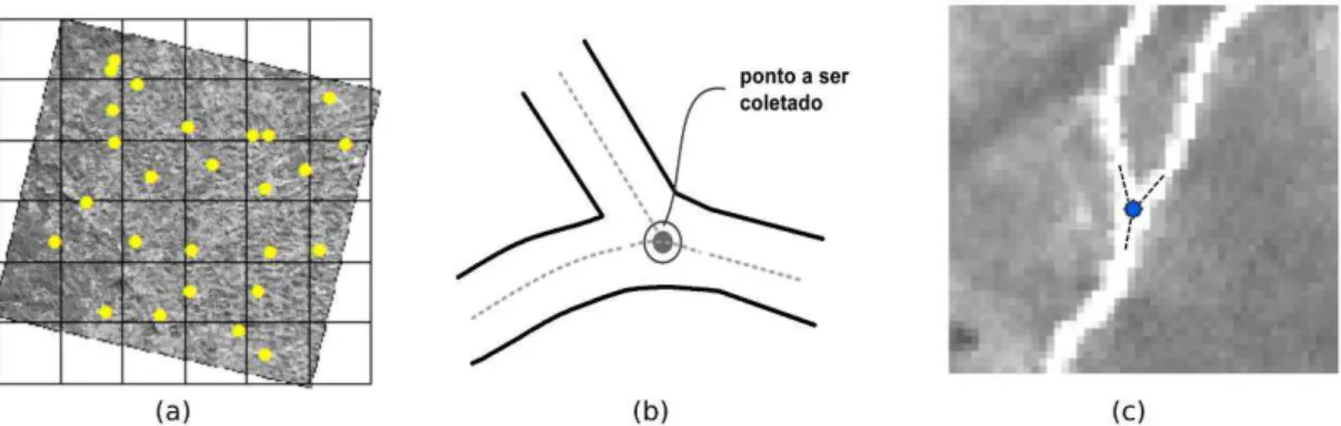 Figura 7: Distribuição espacial dos pontos de checagem (a) e metodologia utilizada para  definição destes pontos na ortoimagem ALOS/PRISM (b) (c)
