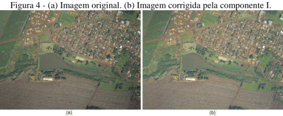 Figura 4 - (a) Imagem original. (b) Imagem corrigida pela componente I. 