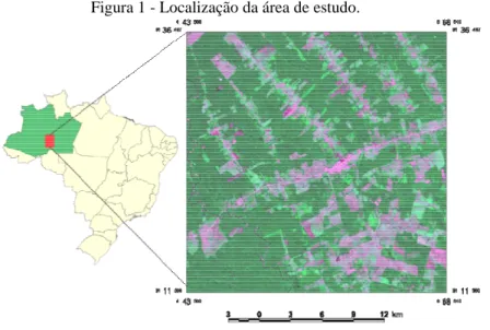 Figura 1 - Localização da área de estudo. 