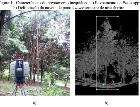 Figura 1 - Características do povoamento inequiâneo. a) Povoamento de Pinus spp;   b) Delimitação da nuvem de pontos laser terrestre de uma árvore