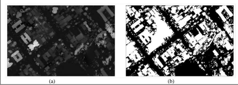 Figura 2 - Imagens geradas a partir dos dados geométricos de varredura a laser: (a)  MDSn; e (b) MDSn limiarizado
